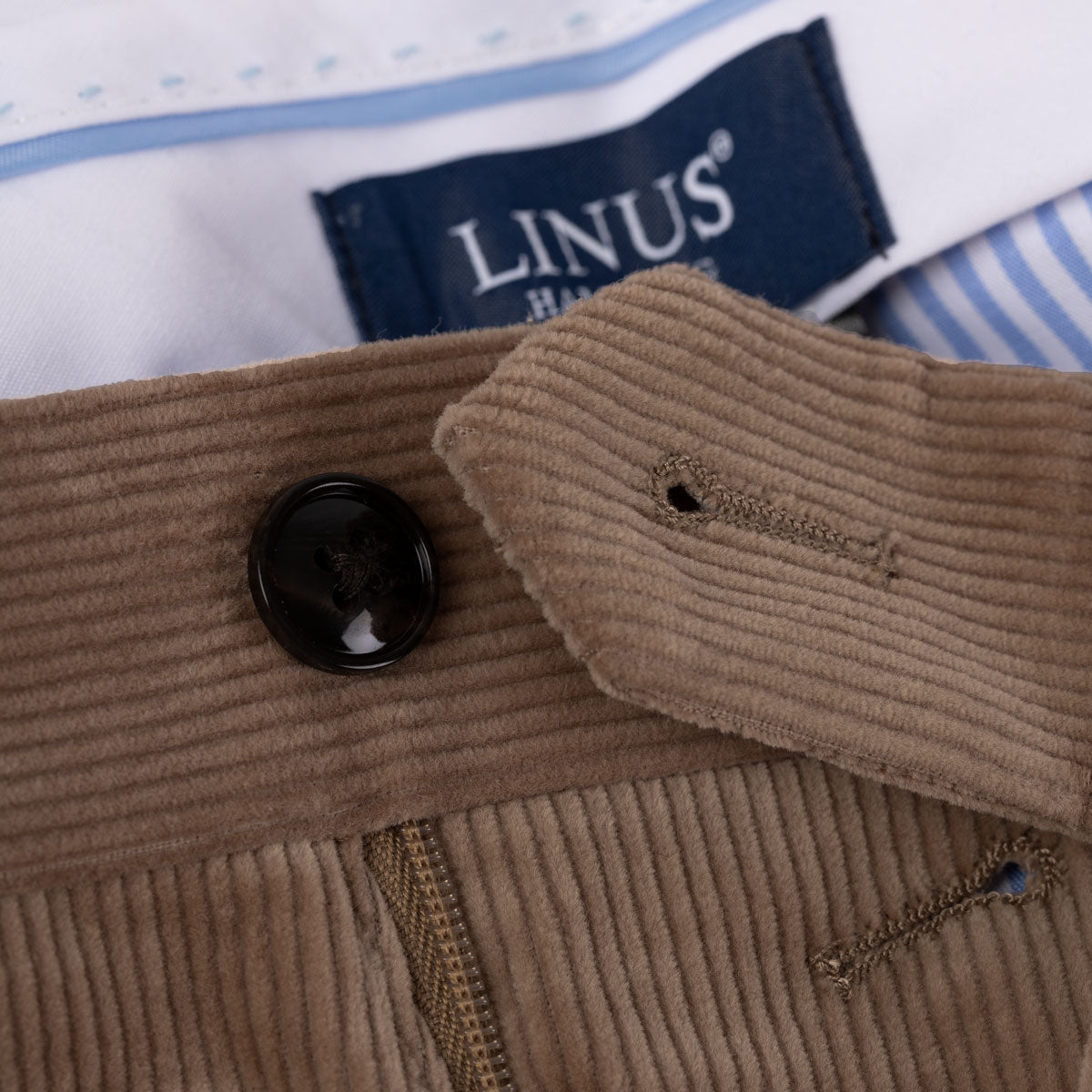 Hose Siena aus Feincord in Cognac cognac Bild 3