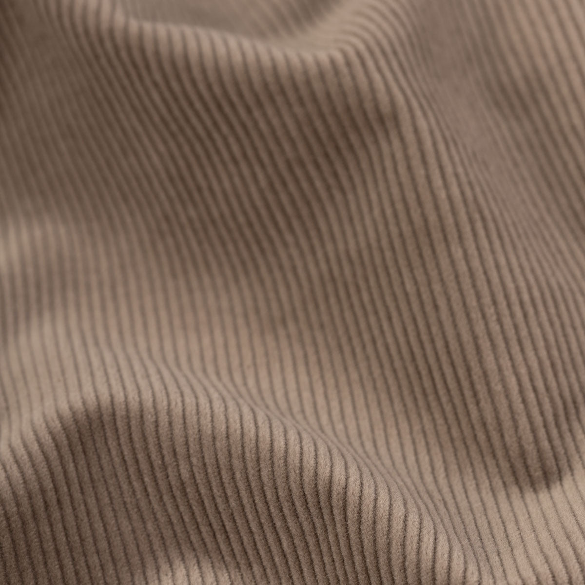 Sakko Genf aus Feincord in Taupe taupe Bild 5